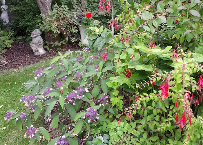 D'hotes La Luce Frühstückspension